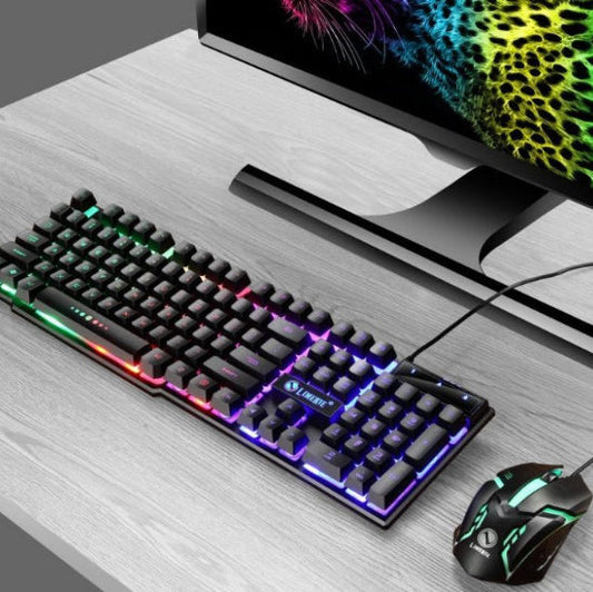 Clavier et souris gamer couleur eclaire Ergonomic Pro