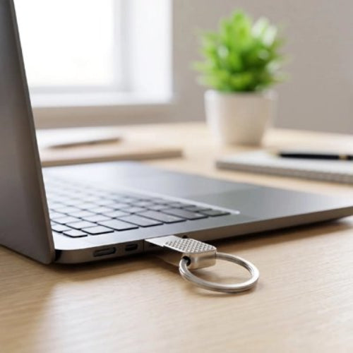 cle usb 1to compact securise portable plante