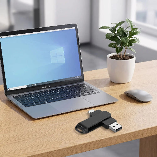 cle usb ultra-rapide type-c 3.2 noir souris plante