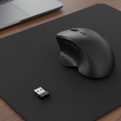 Souris ergonomique format ambidextre 