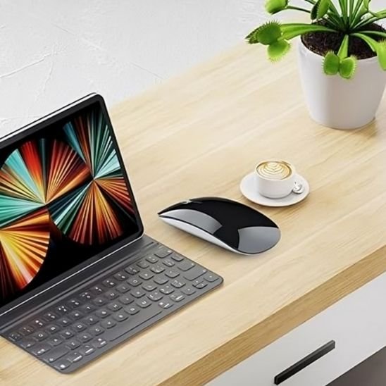 Souris sans fil ergonomique