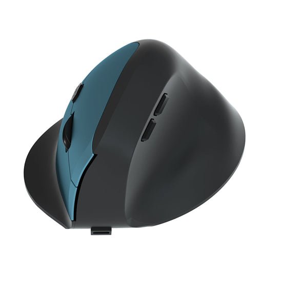 souris ergonomique bleu