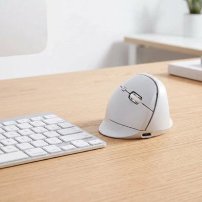 souris ergonomique confort anti-fatigue blanc clavier