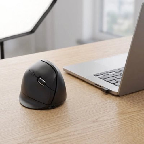 souris ergonomique confort anti-fatigue noir portable