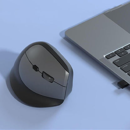 souris ergonomique optique gris