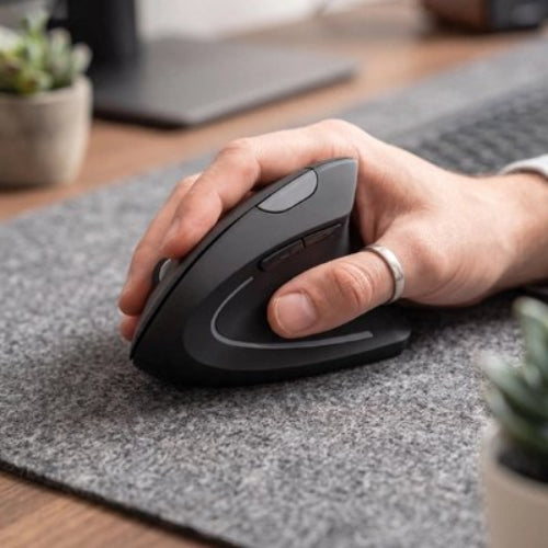 souris verticale ergonomique confort pro plante tapis gris